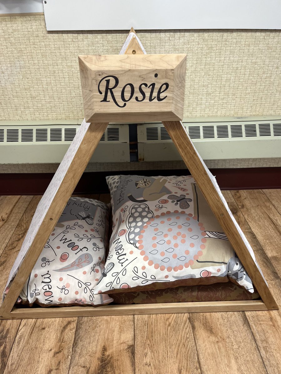 robvanspronsen's tweet photo. Middle School Students at @PalliserSchools Colony Schools made these items for their Year-End project. Boys made cowboy chaps &amp; clocks; girls sewed pillows for dog houses &amp; ‘I Spy’ bags. https://t.co/W6A23n3VHj