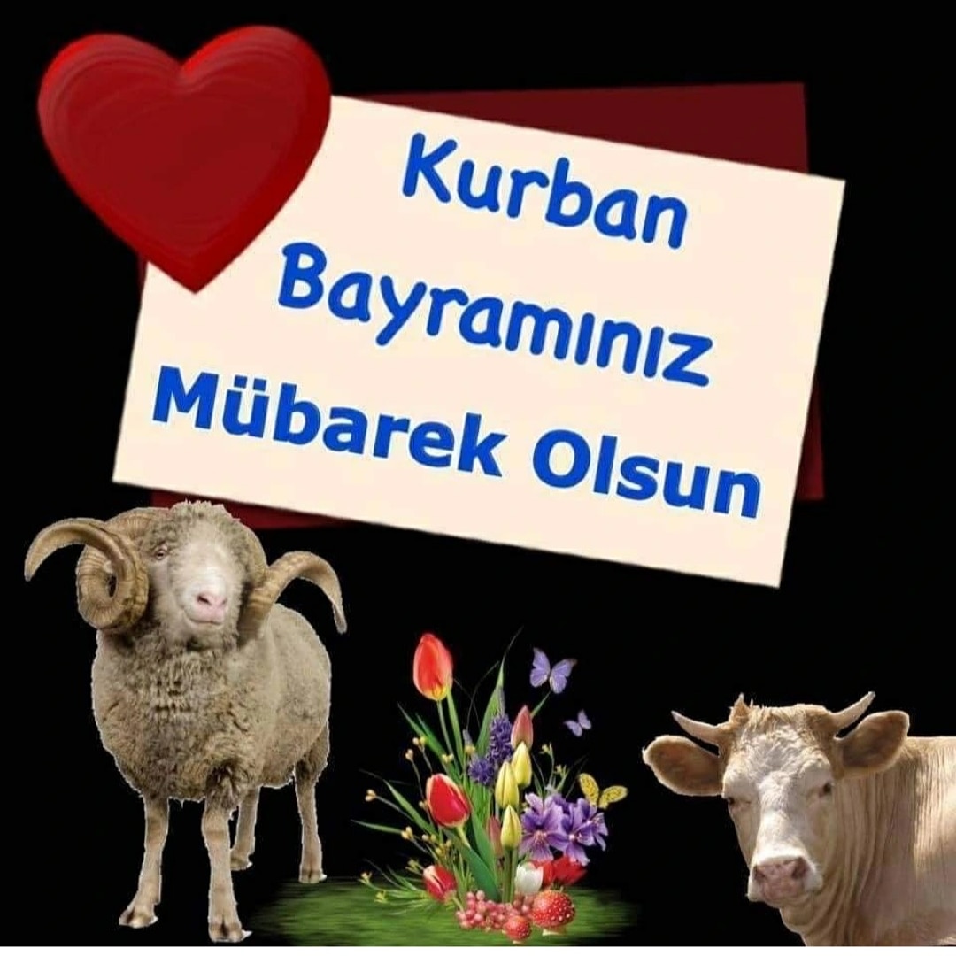 @1zeynepbabur @HHK34HHK @____Sar____ @YilmazKeskin61 @mesud_02 @maslan2023 @mesud_2023 @aslan7502 @clb_zeki @elamete42 @ToprakKurt_06 @Black_Mamba1730 @KARA_NAD @_vatanmillet @Avicenna_Razi @zgulesci @yusuf34Guzel @Lacivert2071