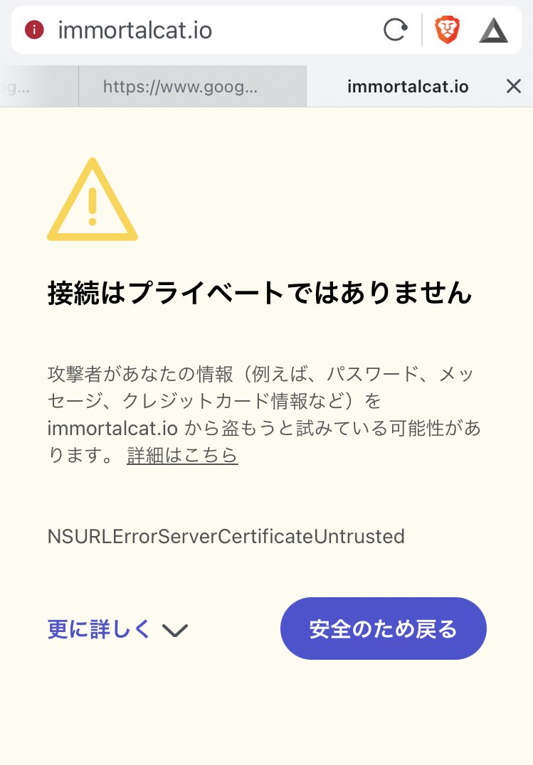 immortal catのサイトがスキャムサイトになってました…。

ステーキングしていた方、接続した覚えのある方、リボークしておきましょう…
パソコン、スマホごとハッキングされますよ…

#immortalcat #10set #INFINITY
