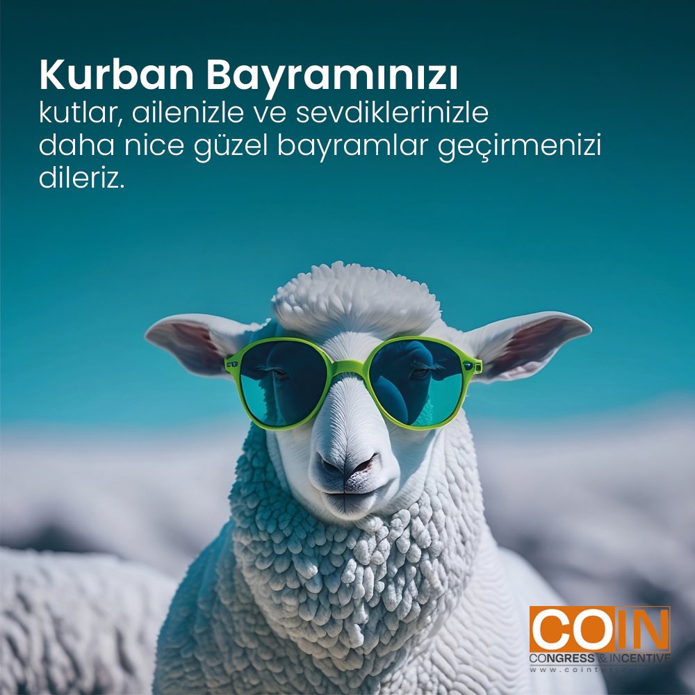Coin Turizm tweet media
