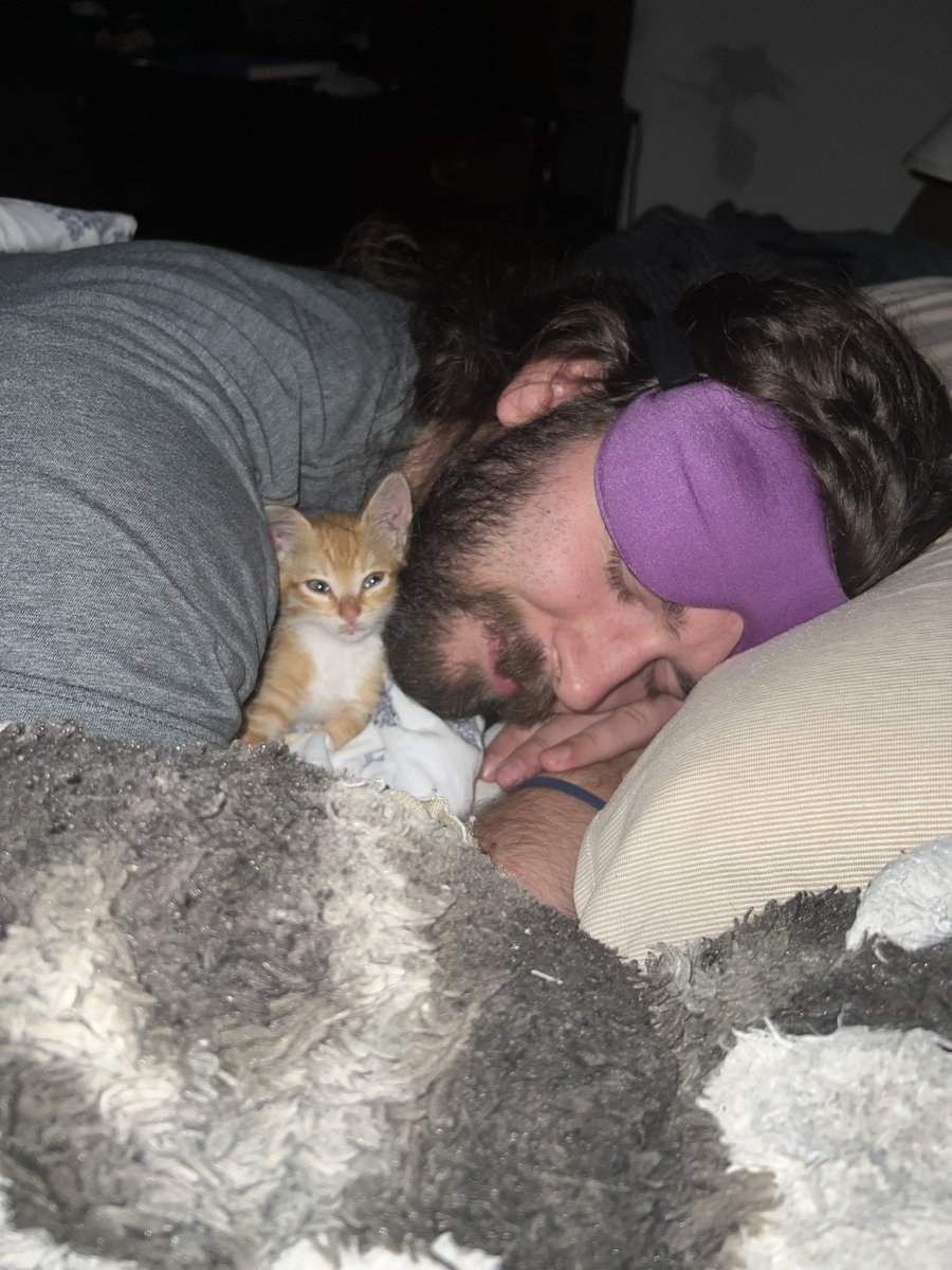 ghoulbottom's tweet photo. we found this sweet 4 week old girl under a car a few days ago, and she is so happy and healthy and now a part of our little family https://t.co/vewyLDeygU