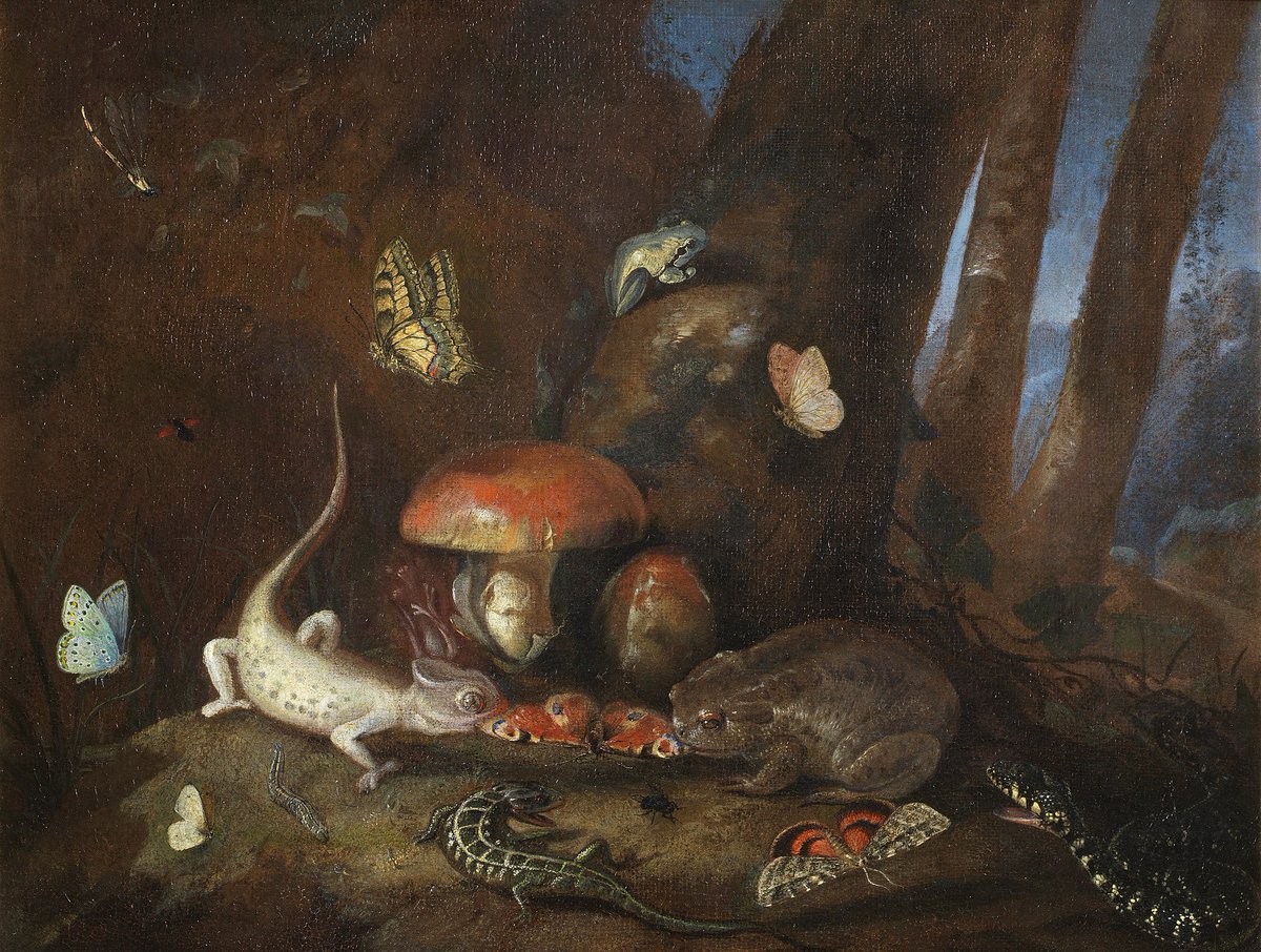 Darklings!

#ofdarkandmacabre's Ratcatchers &amp; Rum Rodents theme climaxes into

"But Ask Now The Beasts – Of Baleful Butterflies, Tenebrific Toads and other Inauspicious Animals”

as #FaustianFriday topic!

RTs Friday between 10am-10pm CET

🎨 Otto Marseus van Schrieck