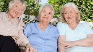 Solana Grandmas (@solgrandmasnft) on Twitter photo 