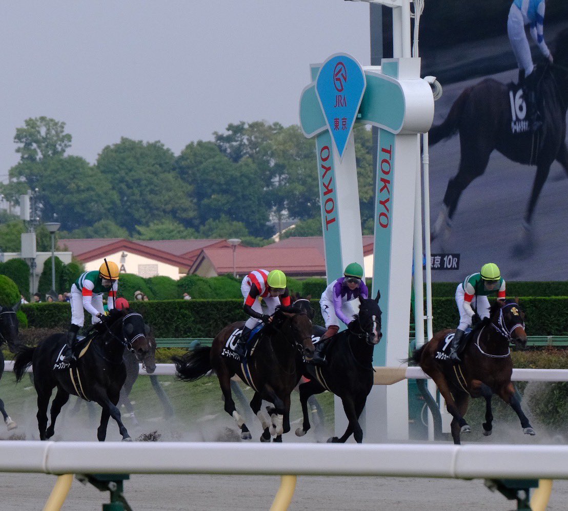 MDXTM_YY's tweet photo. 🏇 https://t.co/7oDkvGIycj