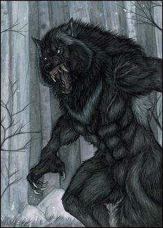 #WerewolfWednesday