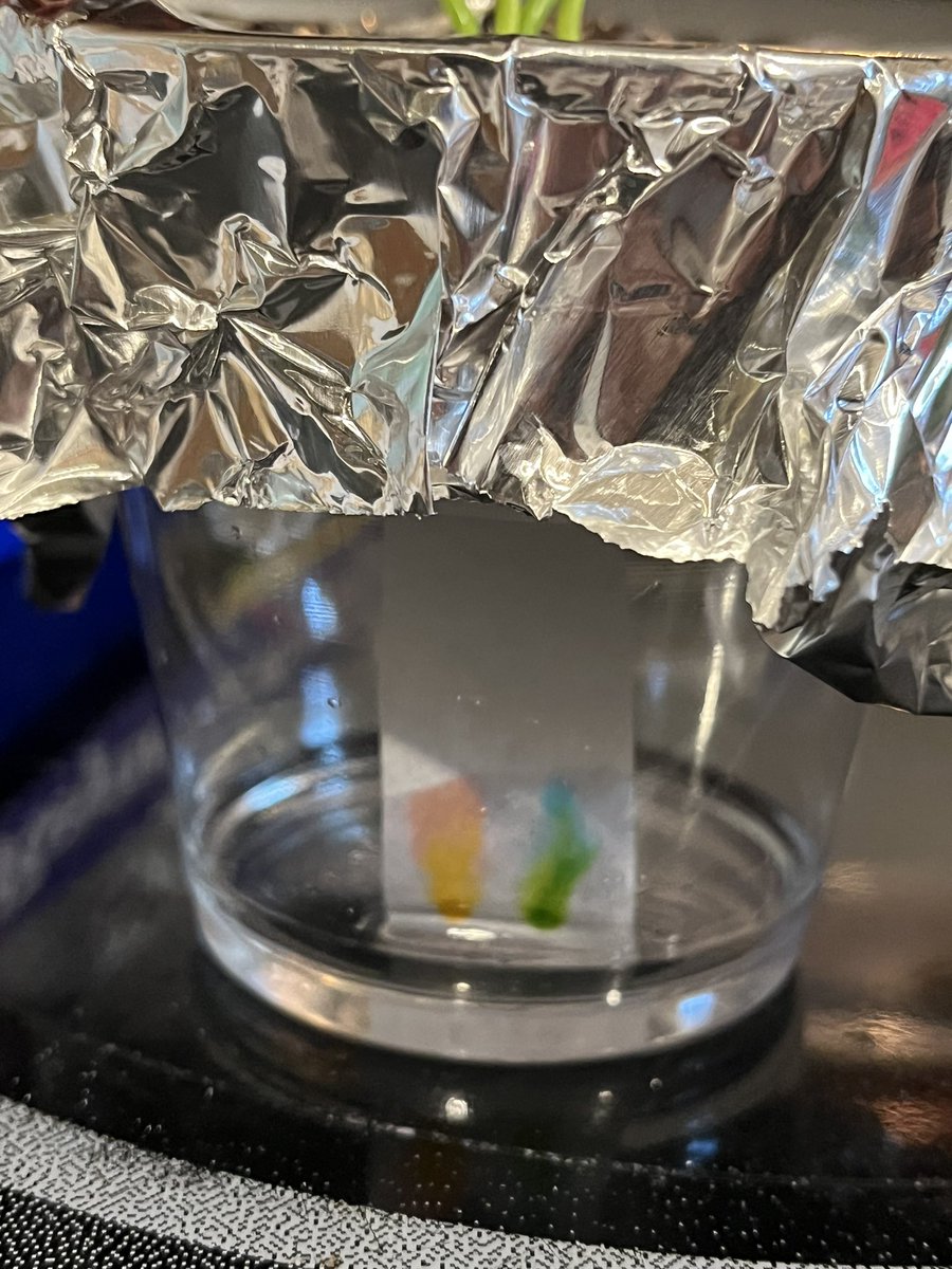 _sleigher_'s tweet image. Flair pen chromatography #scienceathome