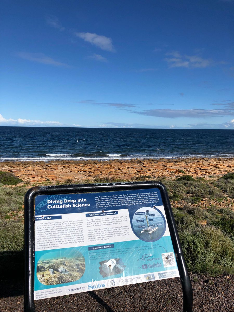 CuttleCam is live! We’re back streaming at Stony Point 🦑🦑🦑

During daylight hours you can watch the cuttlefish antics on our YouTube 📽️vidgrind.ausocean.org/live/StonyPoin…

#techforgood #opensource #cuttlefish #stonypoint