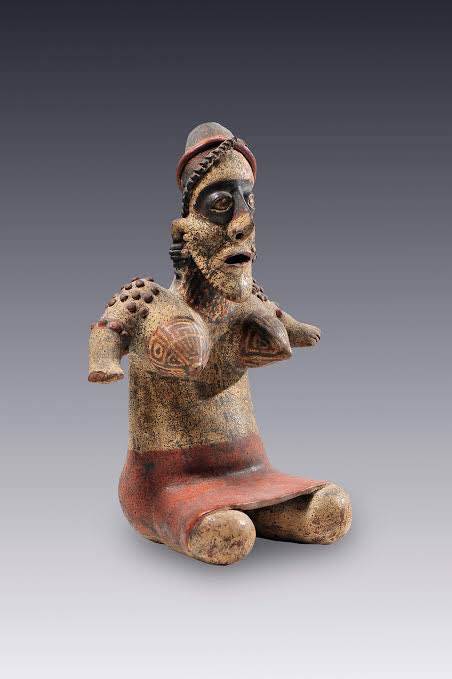 Tlatoani_Cuauhtemoc tweet media