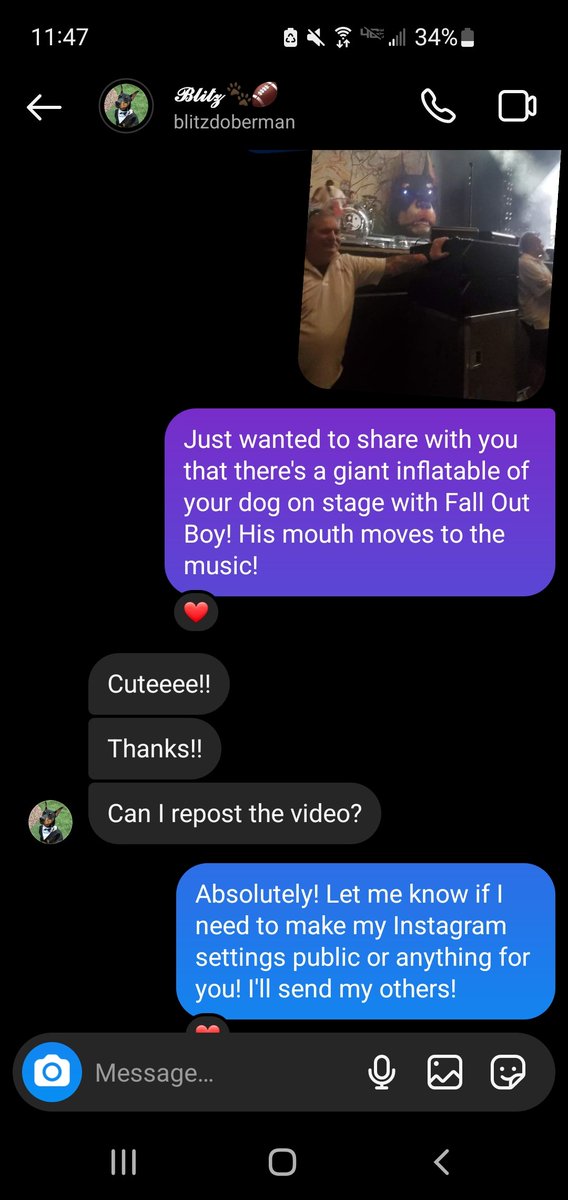 turdsa_lad's tweet photo. @dearrgrvity The owner didn't know about the giant puppet til I DM'd my videos on Instagram! https://t.co/0BjYI7R3Qd