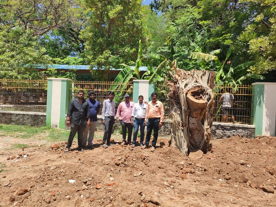 A wonderful effort...an old fig tree had collapsed at intersection of BR Adithanar road and 1st CP Road, Gandhi Ngr. Due to SWD work roots were cut. Now, Corporation and Horticulture dept transplanted it to kottupuram cricket ground. Great work.@chennaicorp @rdc_south @RAKRI1