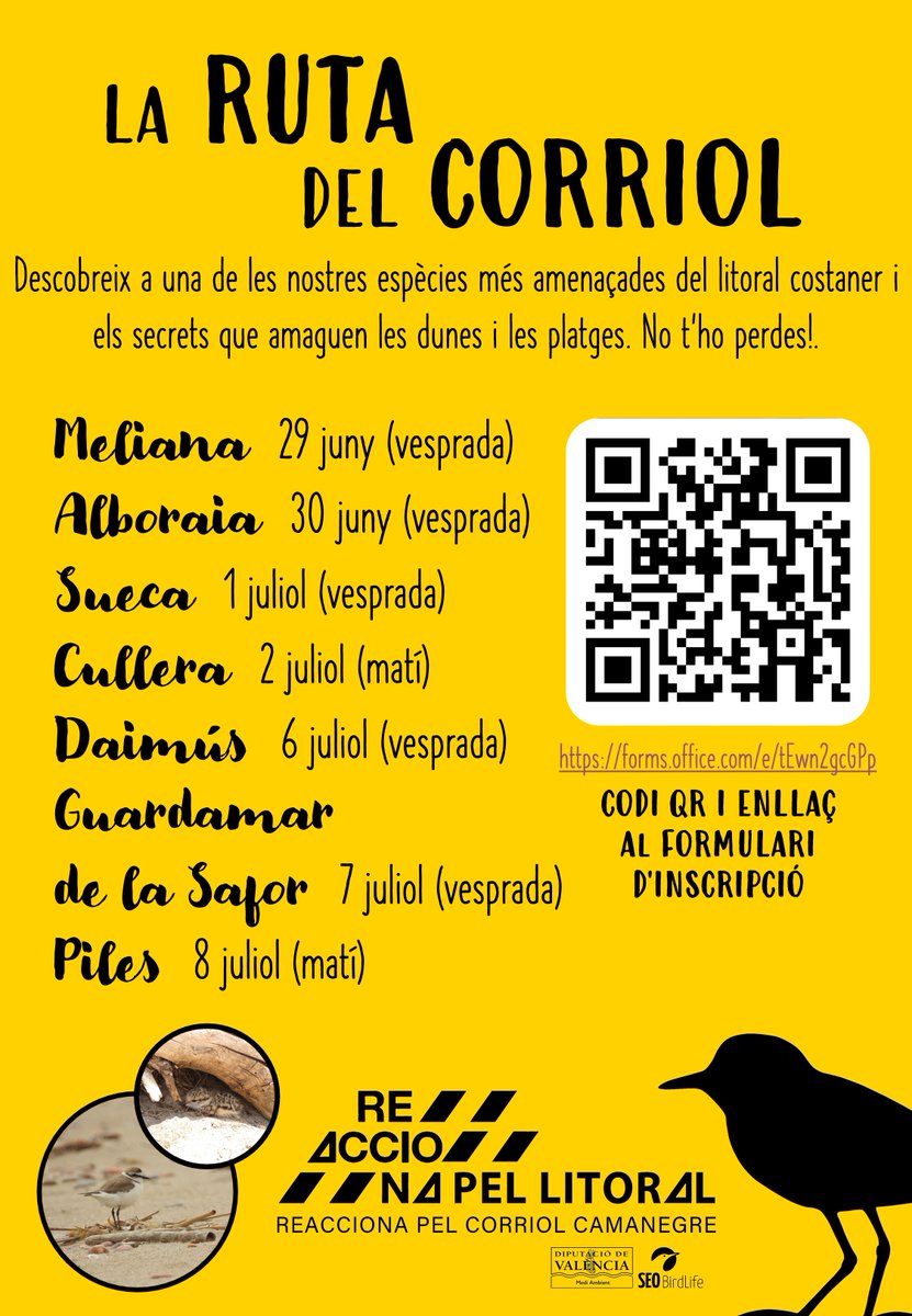 🐤Aquest estiu, el #corriol se’n va de ruta per les #platges valencianes

🌊Les primeres parades són a Meliana, Alboraia, Sueca i Cullera

👉ℹ Més info i inscripcions ací: forms.office.com/e/tEwn2gcGPp