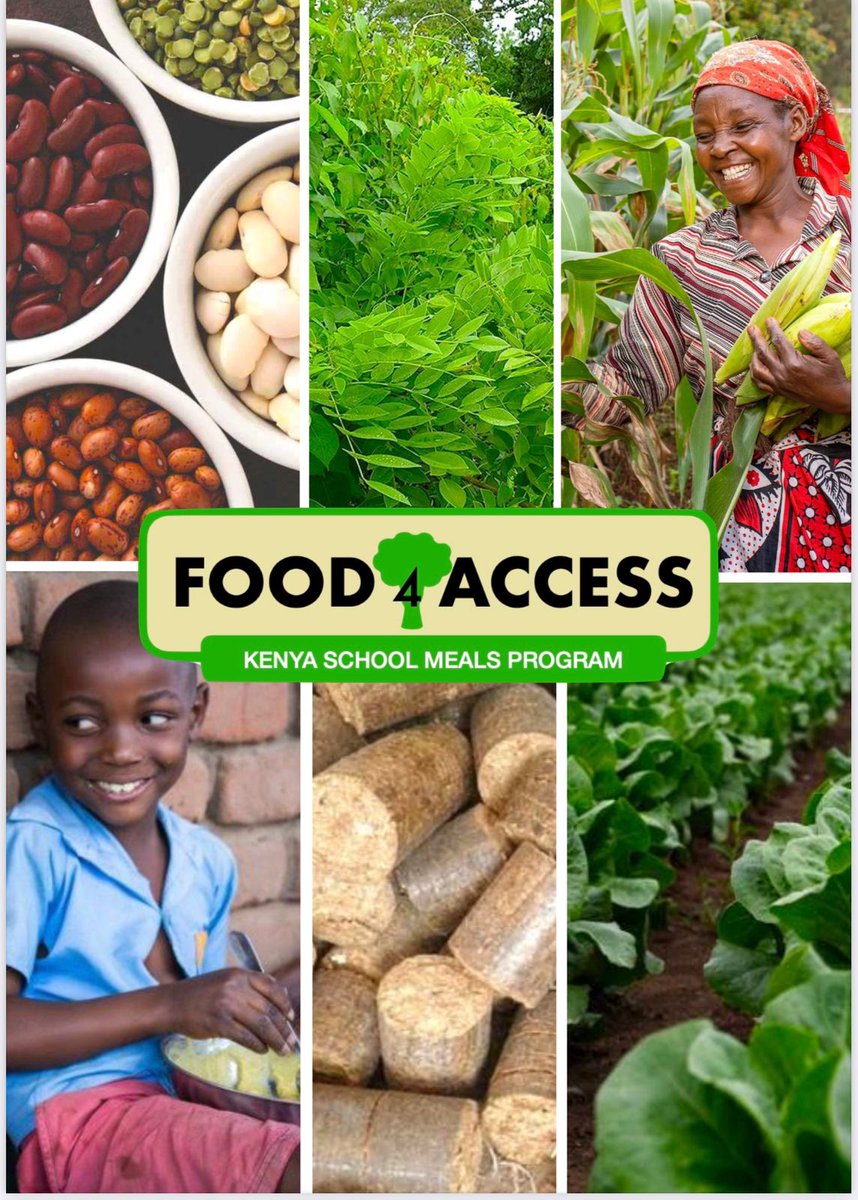 @naconek implementing #niwfess framework, promoting green & climate-smart homegrown solutions for school feeding in ASAL & underprivileged primary schools in Kenya. Creating a sustainable future! 👏 #naconek #schoolfeeding #ASAL #Kenya