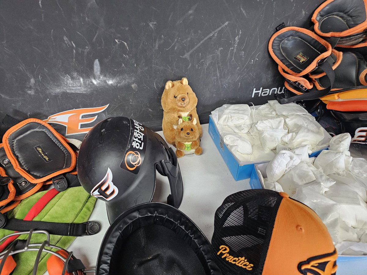 [충격] 한화 더그아웃에 살던 쿼카, 갑작스러운 실종에 수소문해보니...

밖이 너무 덥고 습해서 박상언 선수가 쿼카 습기 먹지 말라고 안에 들여놨다 합니다