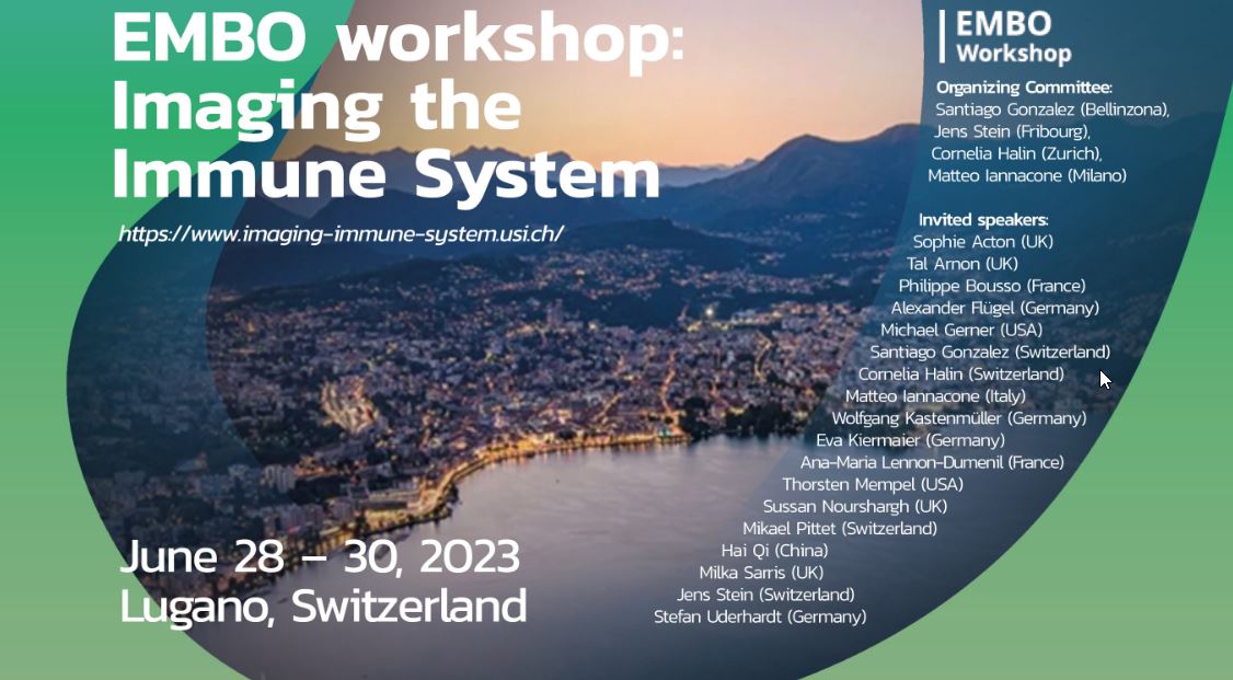 IVIF_Lausanne's tweet photo. Here we go, we are leaving for the EMBO workshop #Imaging the Immune System at Lugano https://t.co/MghHXZsklM. can't wait to be in rooms filled with the best intravital microscopists in the world. https://t.co/aSPjy2VWM5