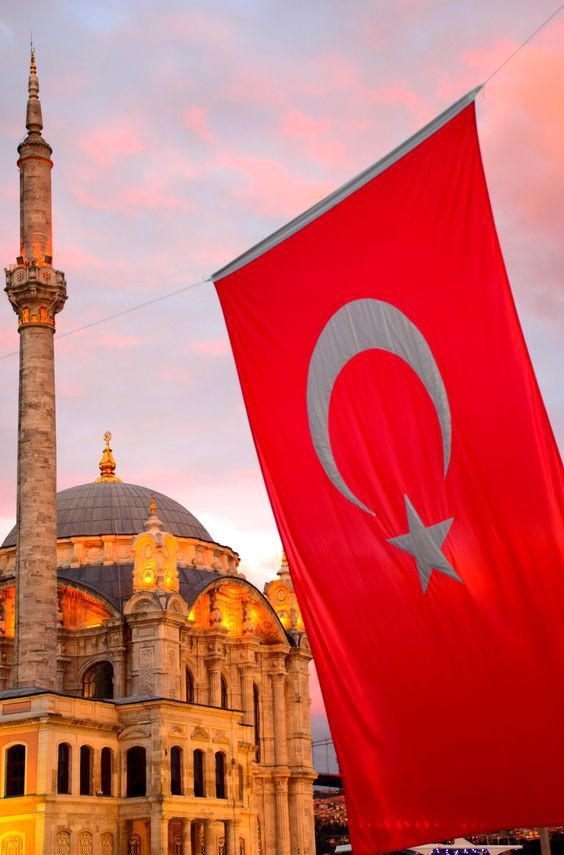 İntern Hekim İletişim Platformu tweet media