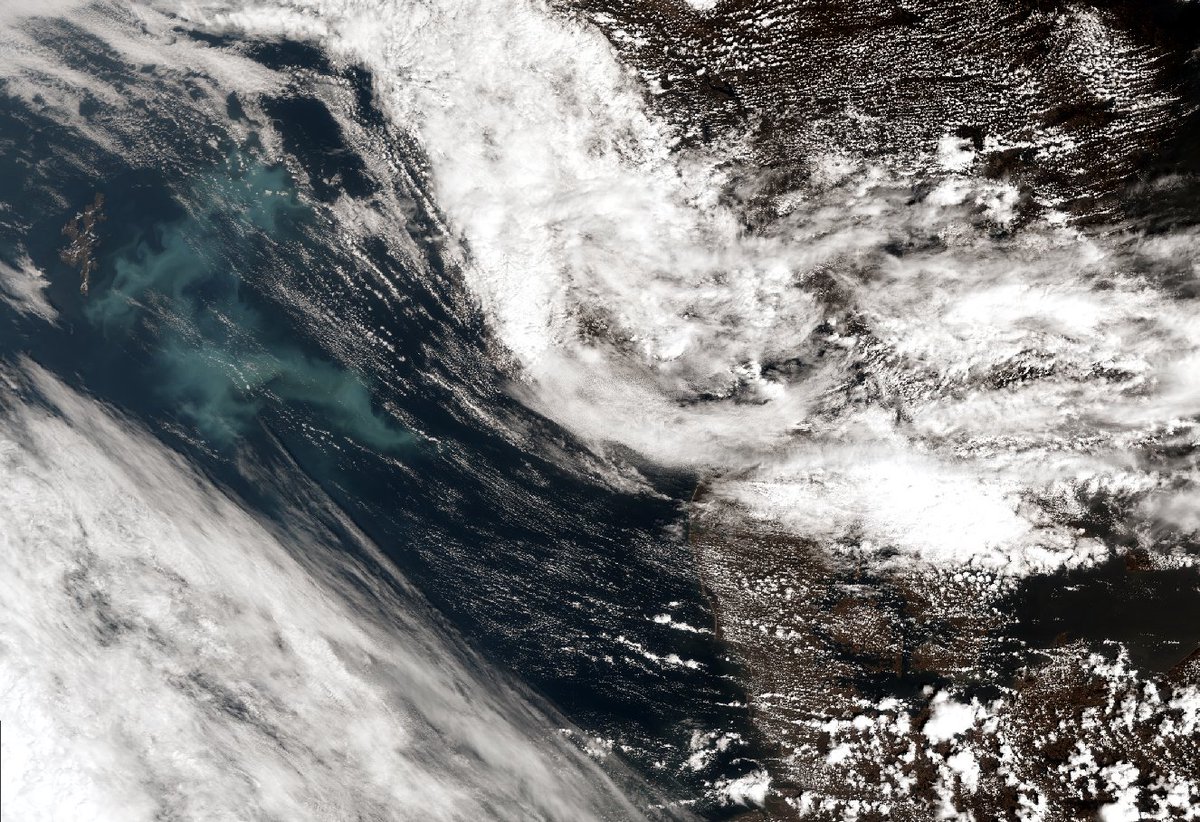 The clouds left the perfect gap to be able to see this bright phytoplankton bloom in the North Sea yesterday morning 🌊🦠 
Captured by the #Copernicus #Sentinel3 satellite 🛰️