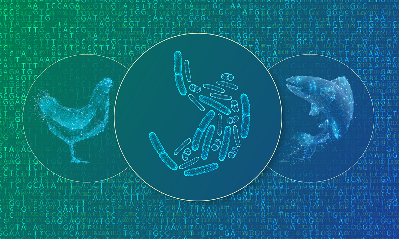 HoloFood (@holofood_eu) on Twitter photo New article out in Nutrition Insight!
"World Microbiome Day: Open access HoloFood Data Portal can help create more sustainable animal feeds"
👉nutritioninsight.com/news/world-mic… New article out in Nutrition Insight!
"World Microbiome Day: Open access HoloFood Data Portal can help create more sustainable animal feeds"
👉nutritioninsight.com/news/world-mic…