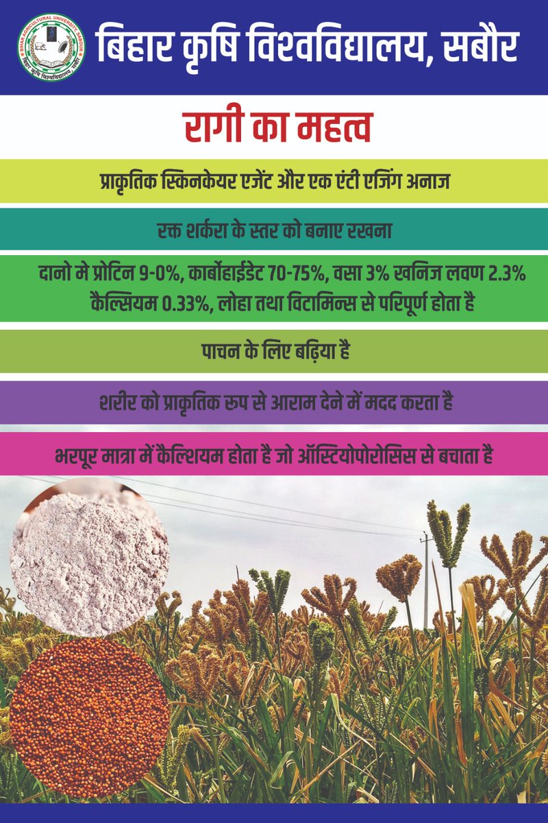 Bau_sabour's tweet photo. रागी का महत्व। #fingermillets #internationalyearofmillets2023 #millets #bausabour https://t.co/0jty3cAnfL