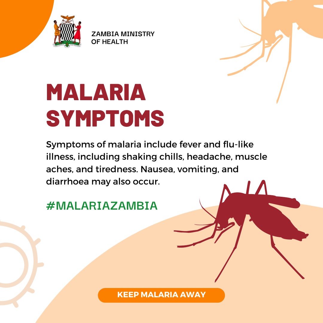 Ministry of Health Zambia on Twitter "LuvalePrince Hi LuvalePrince