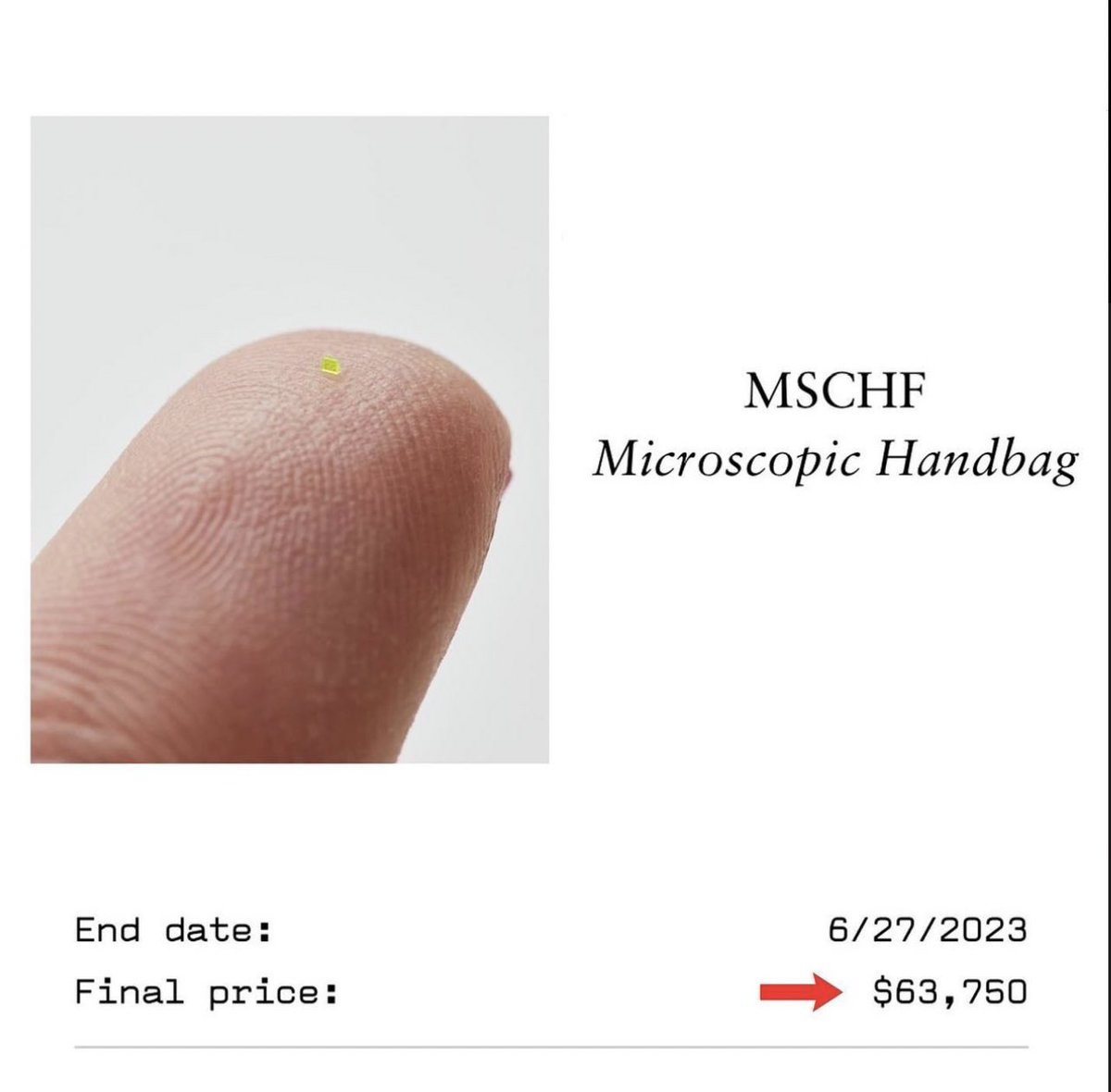 kenzo 👑 on X: RT @StreetFashion01: The MSCHF “Microscopic Handbag” Sold  for $63,750 at Pharrell's JOOPITER Auction (2023)   / X