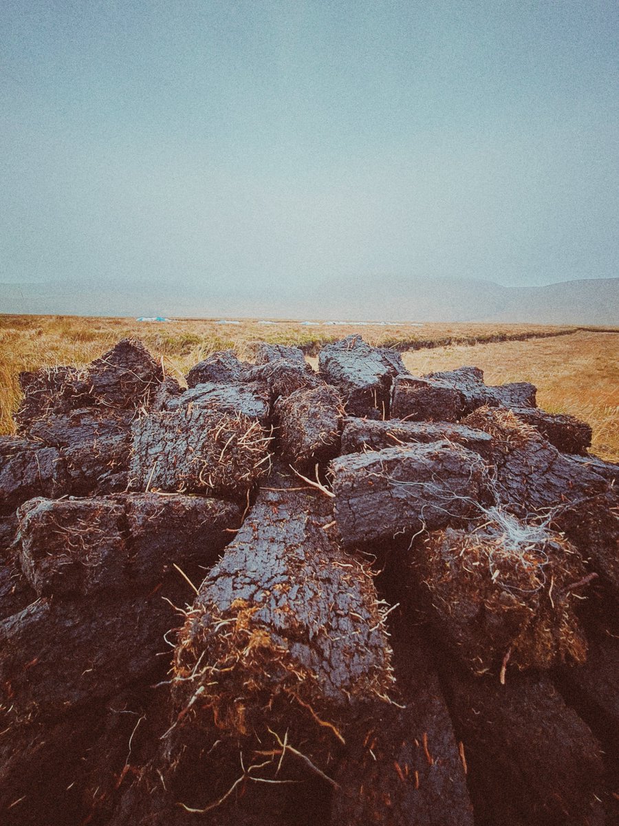 Patrick Michael Barrett tweet media