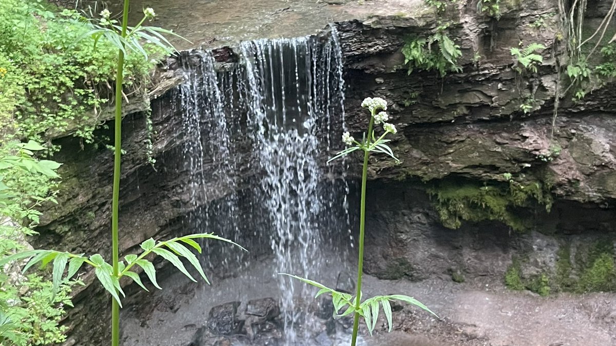 tarek_alzamel's tweet image. Good morning 
#mountain 
#green 
#evening
#outside
#amazing
#Twitter 
#تصويري
#nature
#syria
#sunsetphotography
#tarek_alzamel
#love 
#stuttgart
#today
#damascus
#المصورون_العرب
#ابن_زامل
#photographer 
#streetphotography 
#photography
#canon 
#canonphotography 
#teamcanon