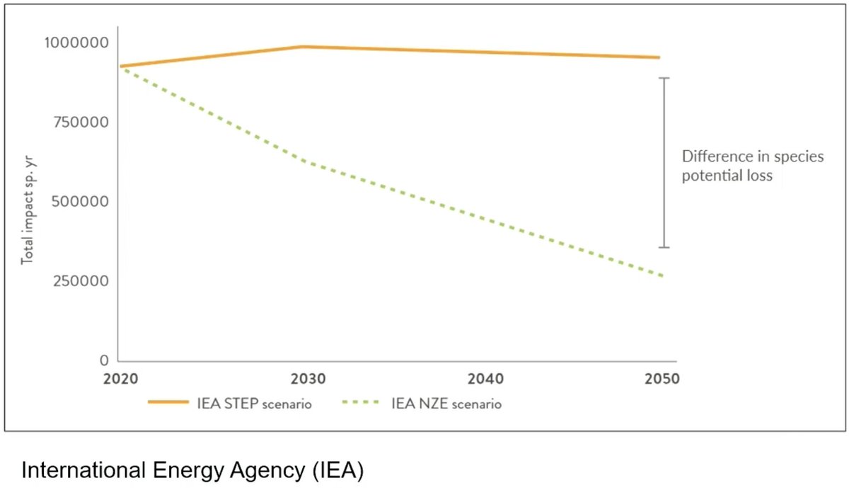 For de som er så bekymret for påvirkningen vindkraft har på dyrelivet. Så er alternativene lang værre. <a href="/WWFNorge/">WWF Verdens naturfond</a> <a href="/MotvindN/">Motvind Norge</a> <a href="/tankesmien/">Tankesmien Agenda</a>