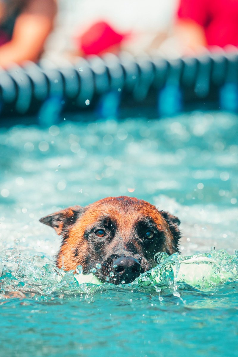 Discover Long Island tweet media