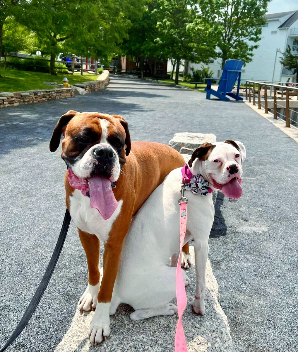 Discover Long Island tweet media