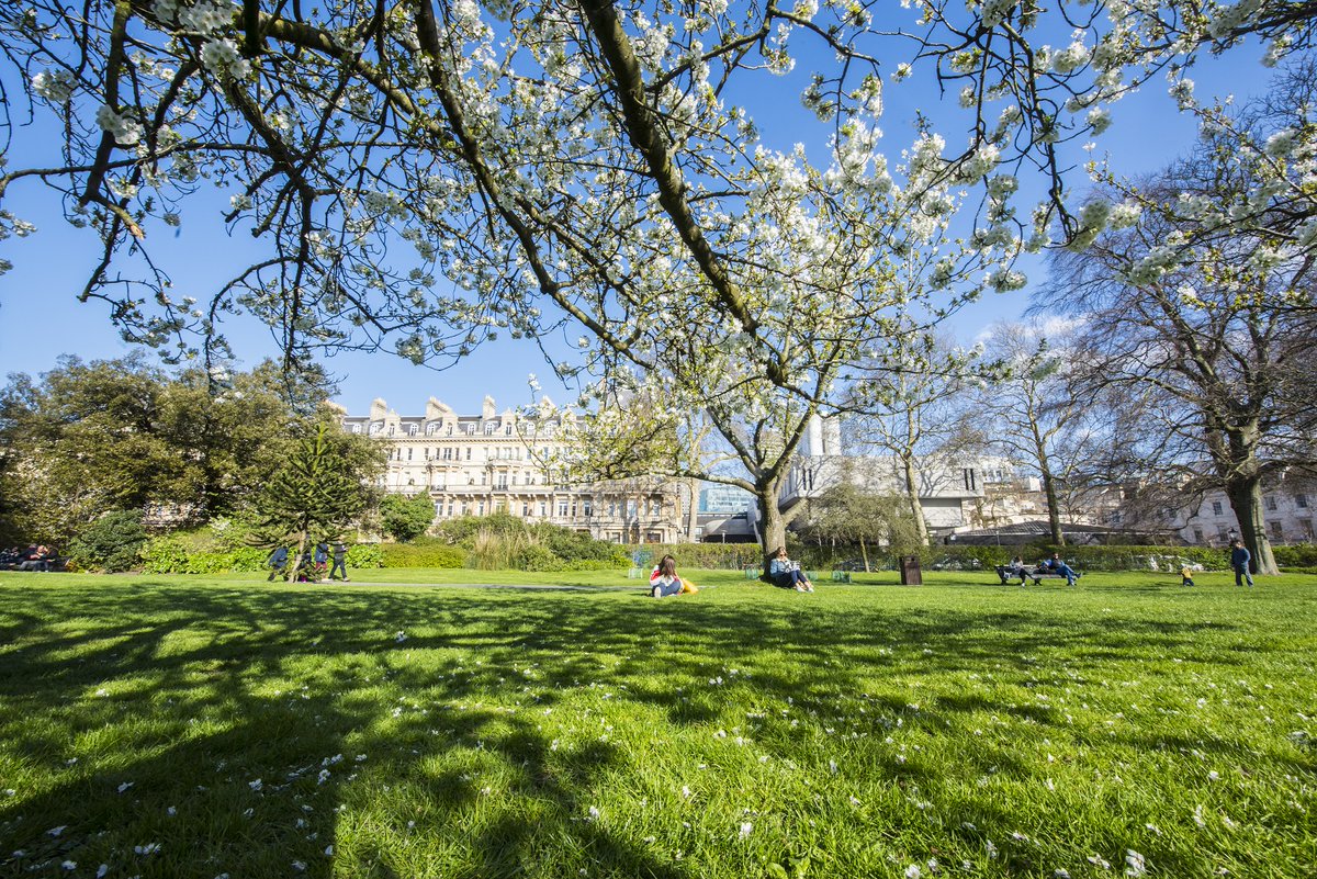 ForestryComm's tweet image. Do you know an individual, community group or organisation that has improved London's urban trees and woodlands this year? 

You can nominate them in the #TreeOscars - The London Tree &amp;amp; Woodland Awards - open for entries now. 

👉 london.gov.uk/programmes-and… 

@LDN_environment