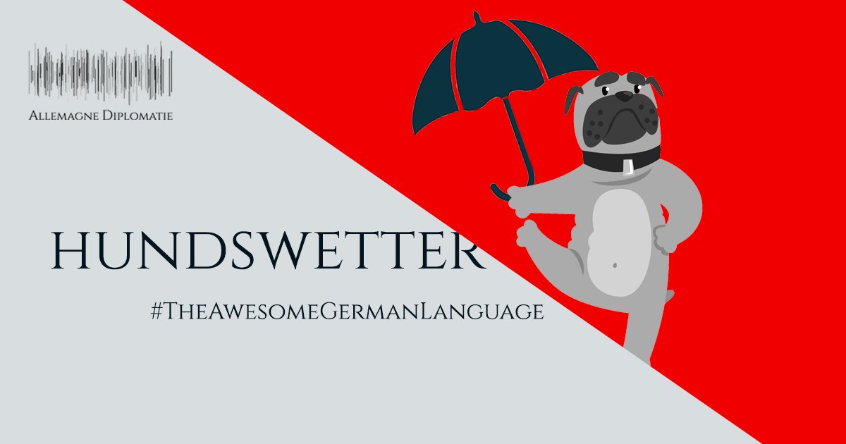 En 🇩🇪 également, on parle d’un "temps de chien" en cas d’intempéries ☔️: #Hundswetter. Cette locution vient de l’expression 🇬🇧 "It’s raining cats and dogs". Mais fort heureusement, aucun chien ni chat ne tombe du ciel! 🐱🐶 #TheAwesomeGermanLanguage
