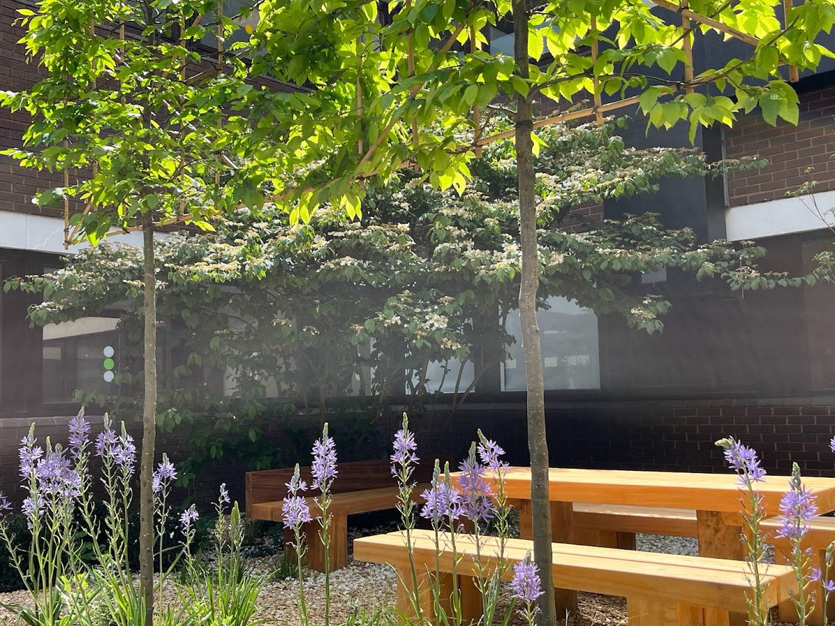 Rae Wilkinson (@wilkinsonrae) on Twitter photo Delighted to recently complete work on a covid recovery garden designed for the amazing hospital staff at <a href="/ASPHFT/">Ashford & St Peter's</a> funded by <a href="/asphcharity/">Ashford and St. Peter's Hospitals' Charity</a> and built by the awesome <a href="/TheOutdoorRoom1/">The Outdoor Room</a> in collaboration with the brilliant sculptor <a href="/HarryGrayArt/">Harry Gray Artist</a> raewilkinson.com/news-and-press Delighted to recently complete work on a covid recovery garden designed for the amazing hospital staff at <a href="/ASPHFT/">Ashford & St Peter's</a> funded by <a href="/asphcharity/">Ashford and St. Peter's Hospitals' Charity</a> and built by the awesome <a href="/TheOutdoorRoom1/">The Outdoor Room</a> in collaboration with the brilliant sculptor <a href="/HarryGrayArt/">Harry Gray Artist</a> raewilkinson.com/news-and-press