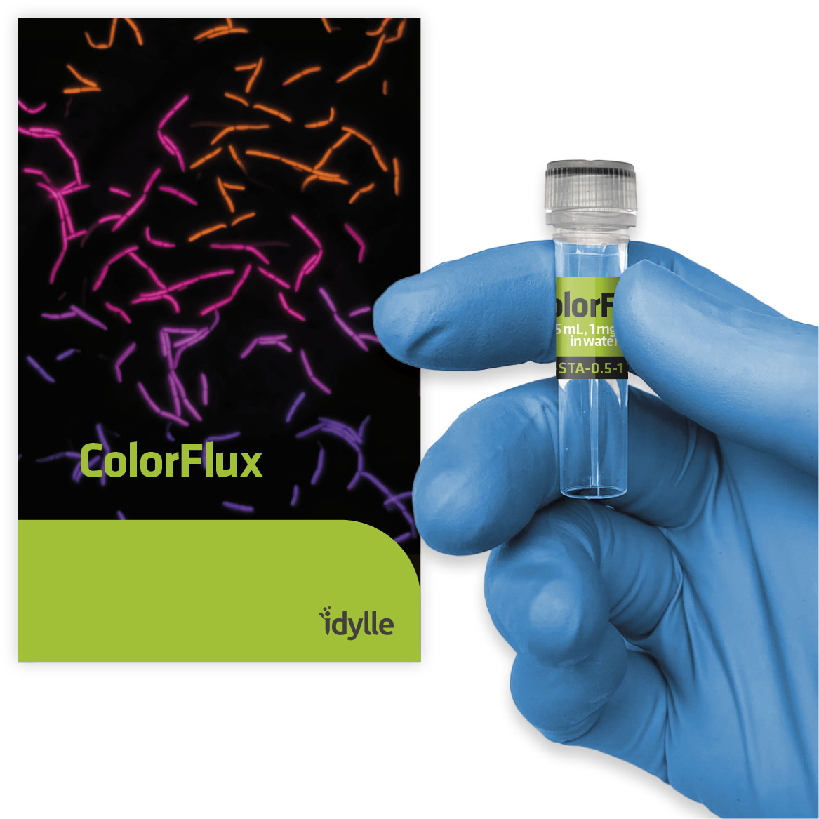 Another R&amp;D #innovation transfered for #lifescience #research today🥳

#ColorFlux: a fast, reliable &amp; non-toxic solution for measuring #bacteria efflux #antibiotic resistance

👏Designed by Olivier Siri, Jean-Michel Bolla, Michel Camplo &amp; Mrunal Patil

🫴idylle-labs.com/colorflux