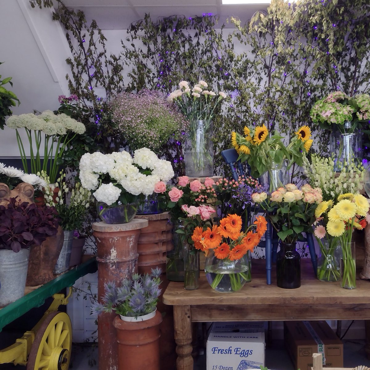 If you're out in Deal today (or any day), why not stop in at Lavender and Blackberry on the high street? The fruit, veg and flowers are a delight for eyes and smell fab, too! 🍒🥦🌹So, grab your five a day and a nice bouquet! #DealTown #FruitAndVeg  #ShopLocal #DealHighStreet