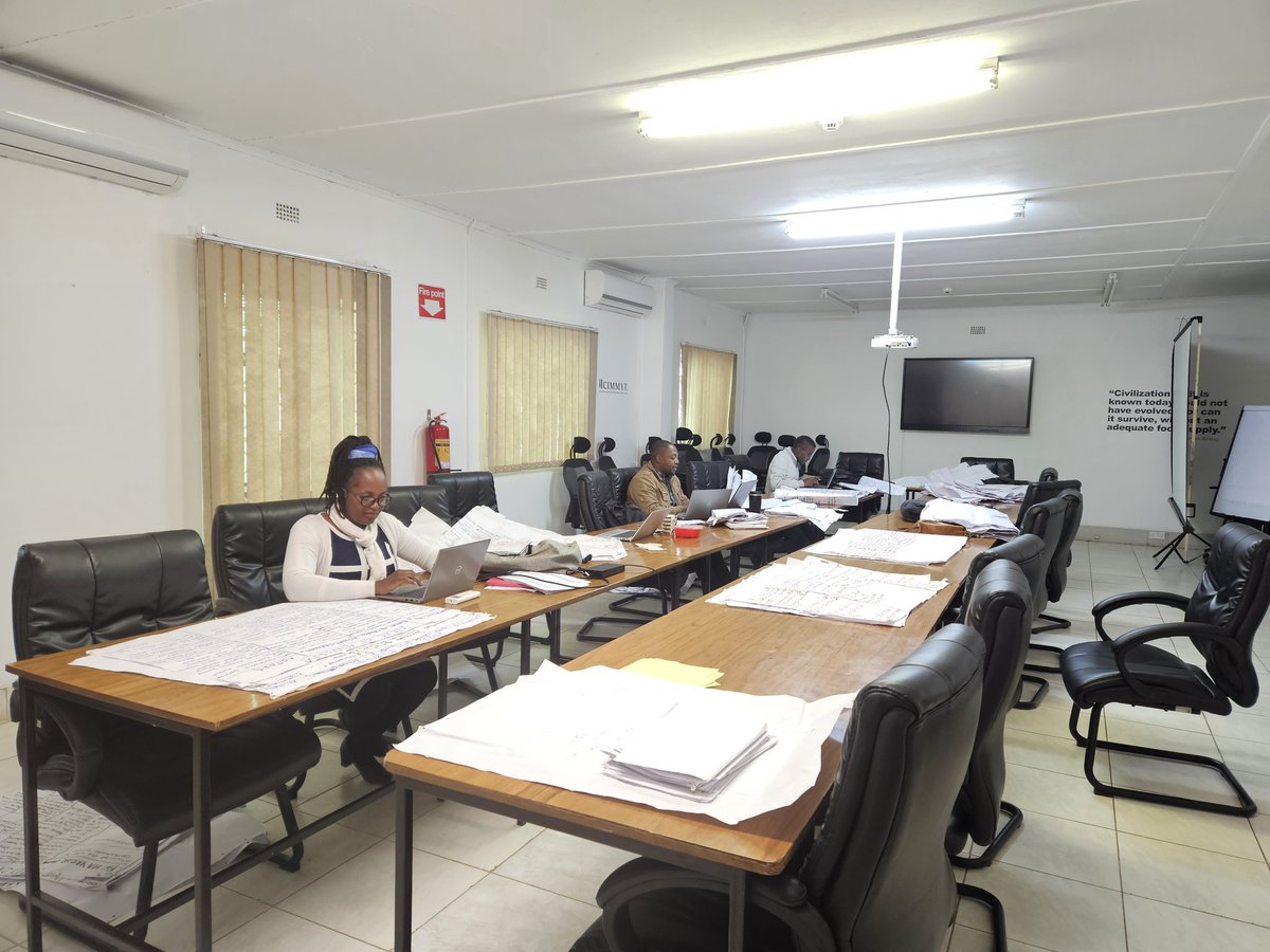 tellysibbs's tweet image. Harnessing the power of co-creation! #Zimbabwe AE-I team consolidating  field data, co-created through farmer-led vision to action exercises and local indicator selection process #LISP workshops. 
#Agroecologyintiative 
@CIMMYT 
@CGIAR