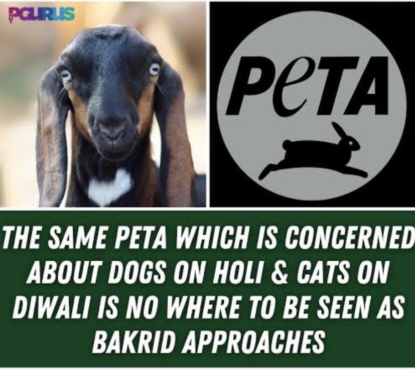 Good Morning PETA, don’t be hypocrite show your concern now