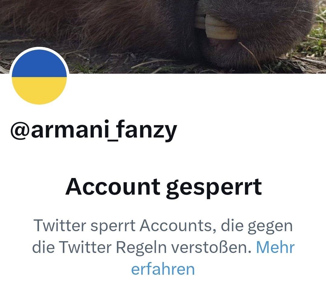 bonkyboy6's tweet photo. @sch1ld3r5 Ist tatsächlich gesperrt. Was tun?
#freehabibi https://t.co/DYWmPHO1cr