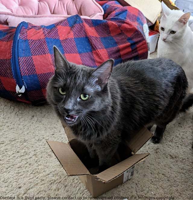 We're sorry, but we currently have only one size in stock.