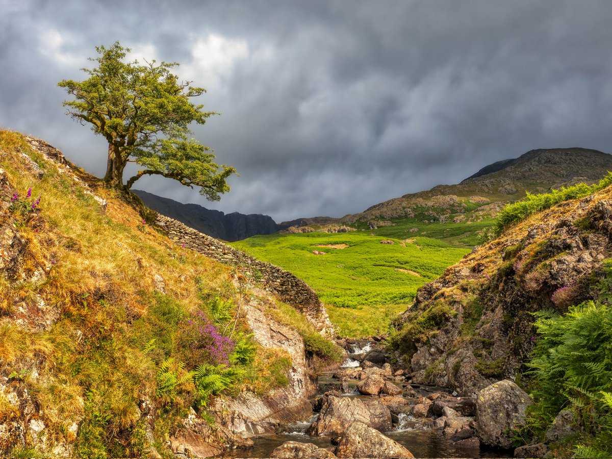 Morning everyone hope you are well. Like our weather recently, going from the light into the dark. Torver Beck on the route to Coniston Old Man.  Have a great day. #LakeDistrict @keswickbootco