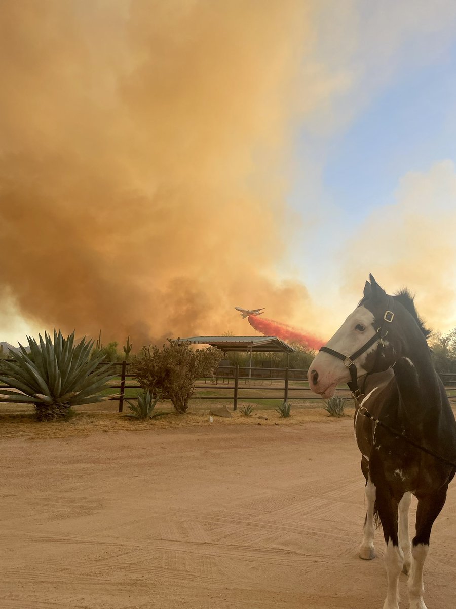 This might be the craziest photo I’ll ever take. Tonight I jumped into gear to help evacuate my trainers barn from a quick spreading wild fire. #diamondfire #rioverde