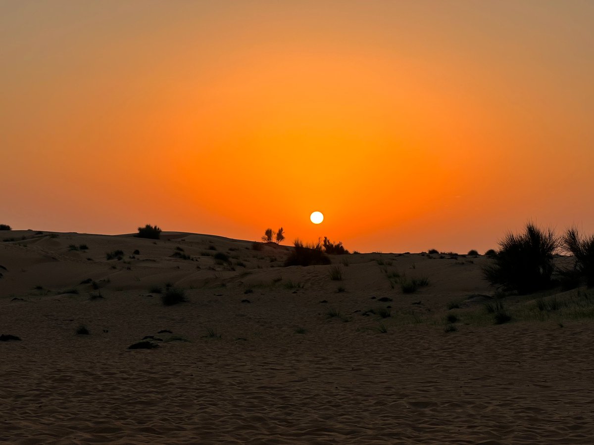 Chad Gleason CCIM tweet media