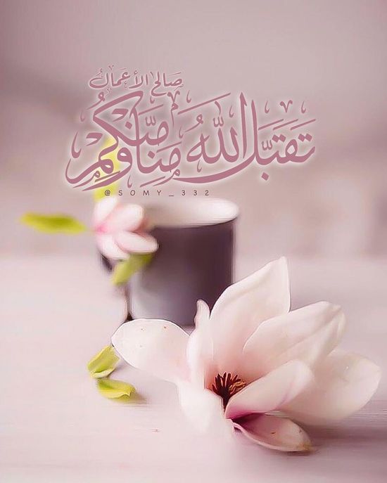 نسأل الله لنا ولكم القبول،ولإخواننا المسلمين وأخواتنا المسلمات، عيدكم مبارك. #عيدكم_مبارك #عيد_اضحى_مبارك #المدينه_المنورة