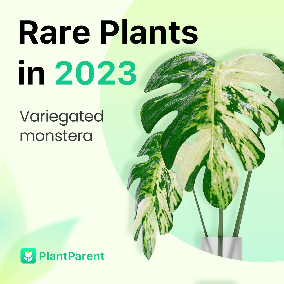 PlantParentai tweet picture