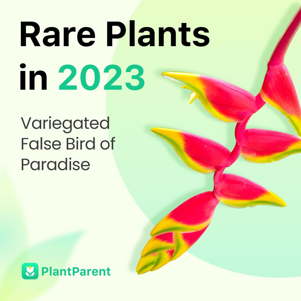 PlantParentai tweet picture