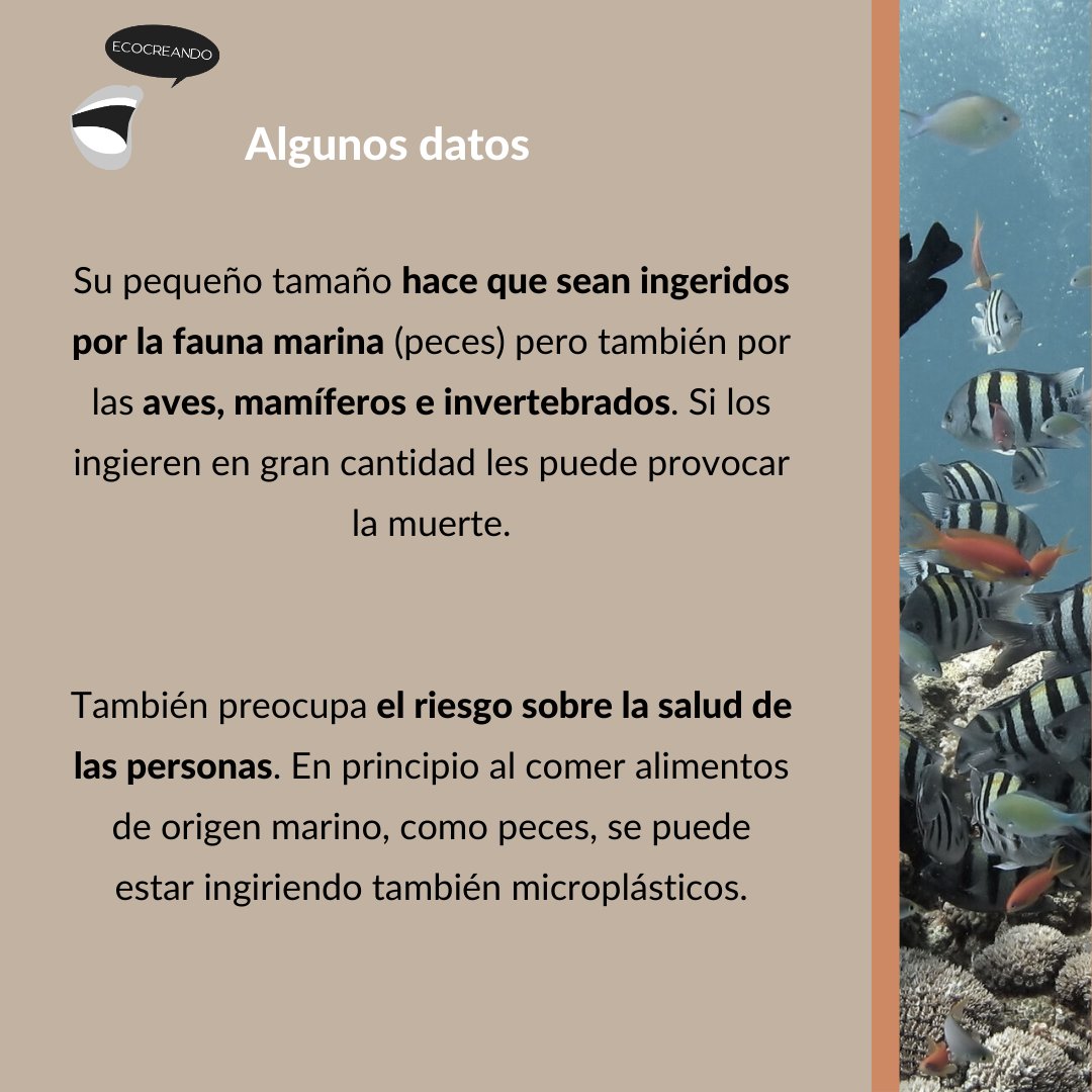 👉 Los microplásticos son partículas sintéticas diminutas, inferiores a 5 mm y no biodegradables 

❌ En el modelo de fast fashion, más del 60% de las prendas que se fabrican contienen poliéster, uno de los mayores responsables de la liberación de microplásticos. Descubre más 👉