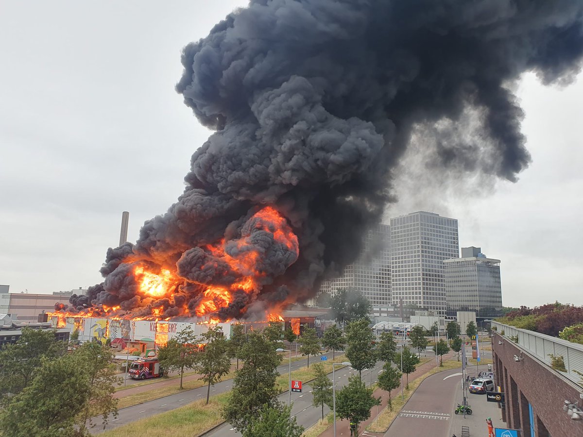 Rachelle Eerhart tweet media