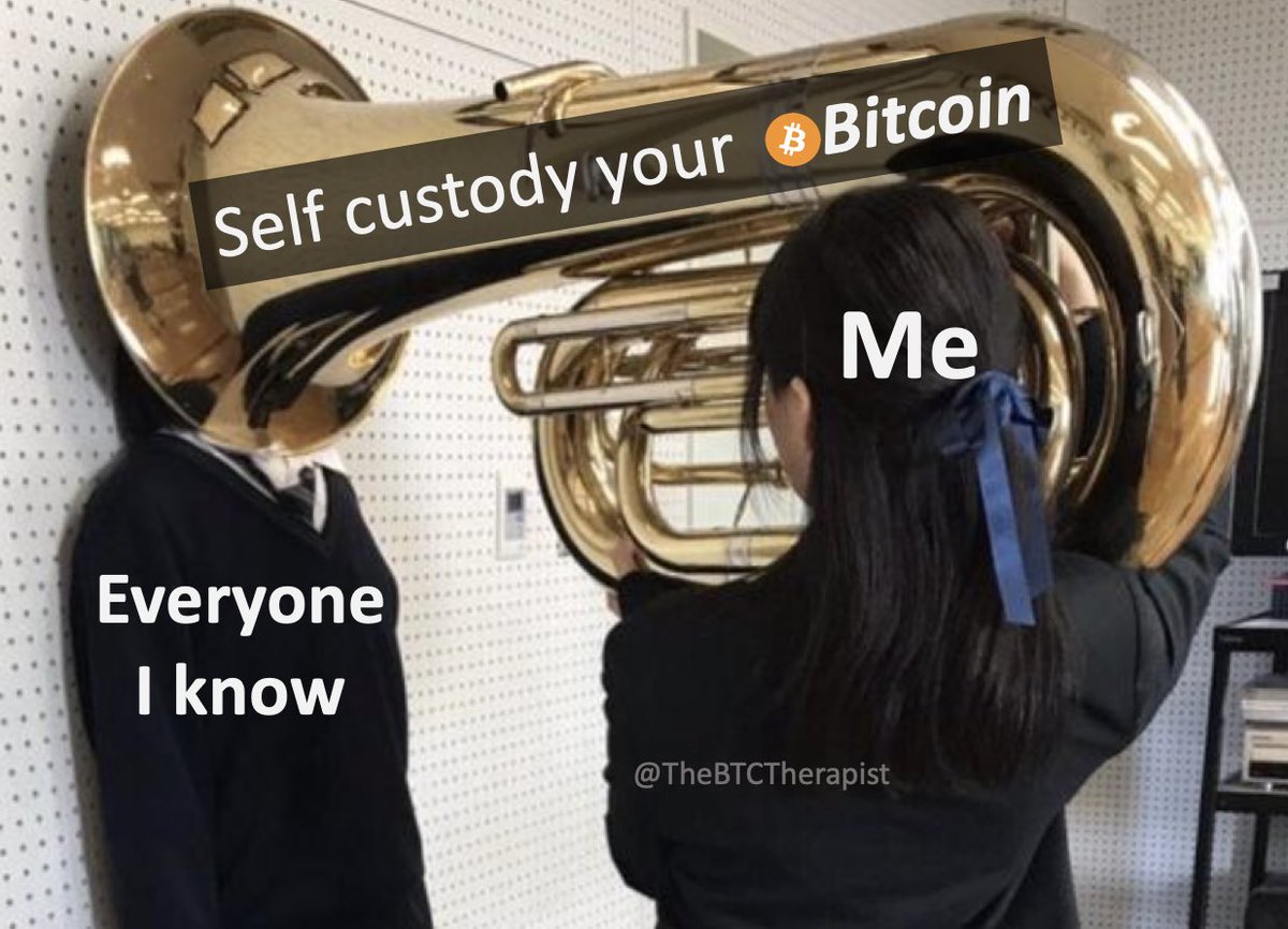 TheBTCTherapist's tweet photo. The #Bitcoin maxis are always right https://t.co/FwaFEmBJJr