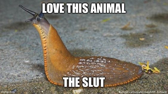 pussyfromagirl's tweet image. 