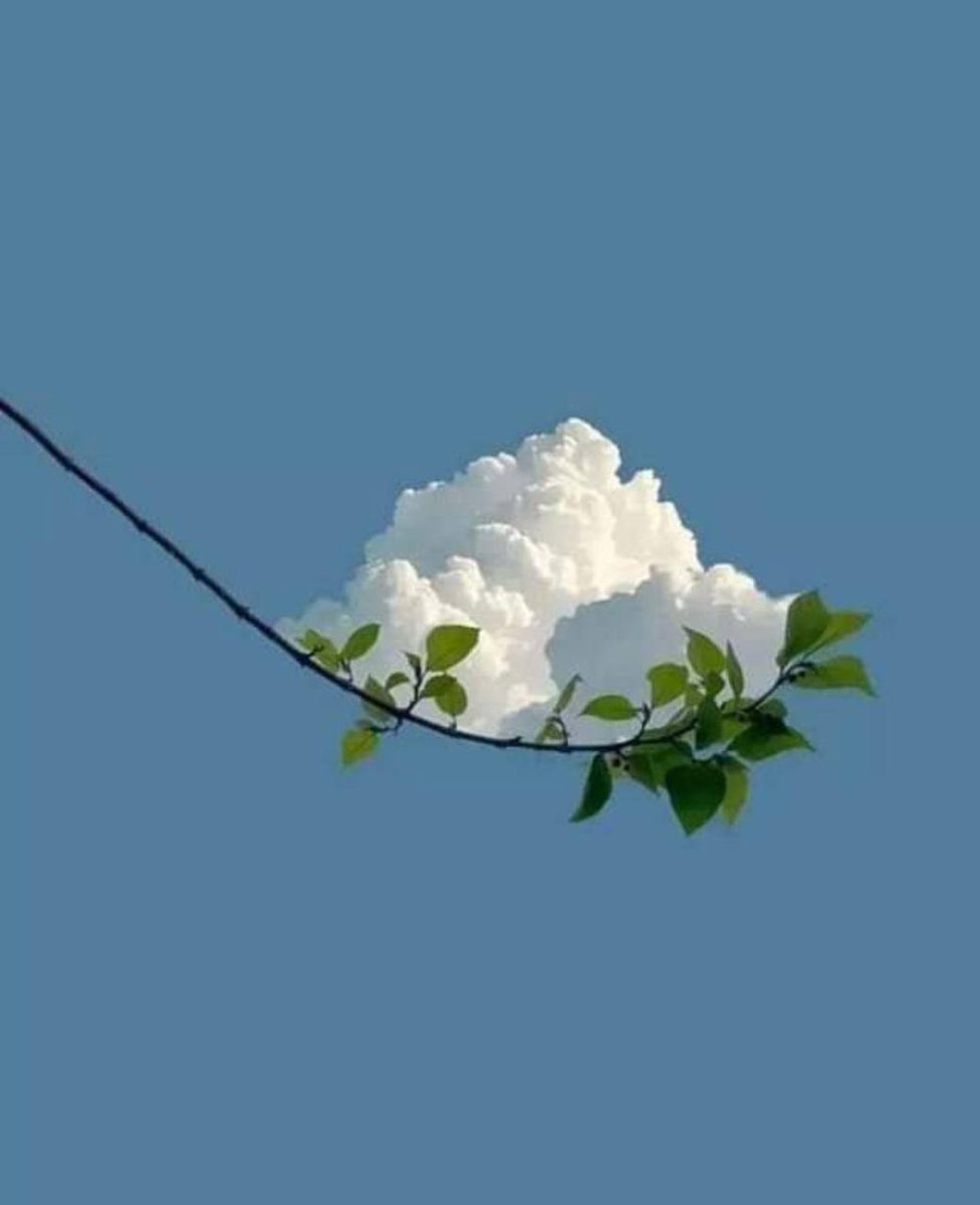 ﴿إِنَّ اللَّهَ لَطيفٌ خَبير﴾

ومن عظيم لطفه أنه يراكَ مُبستماً فيكتبها لك أجراً، ويراكَ موجوعاً فيغفر لك ذنباً، وما بين الأجر والذنب أنت مُحاطٌ بعين اللطيف دوماً وإن كنت لا ترى.
#صباح_الخير_والسعاده_للجميع