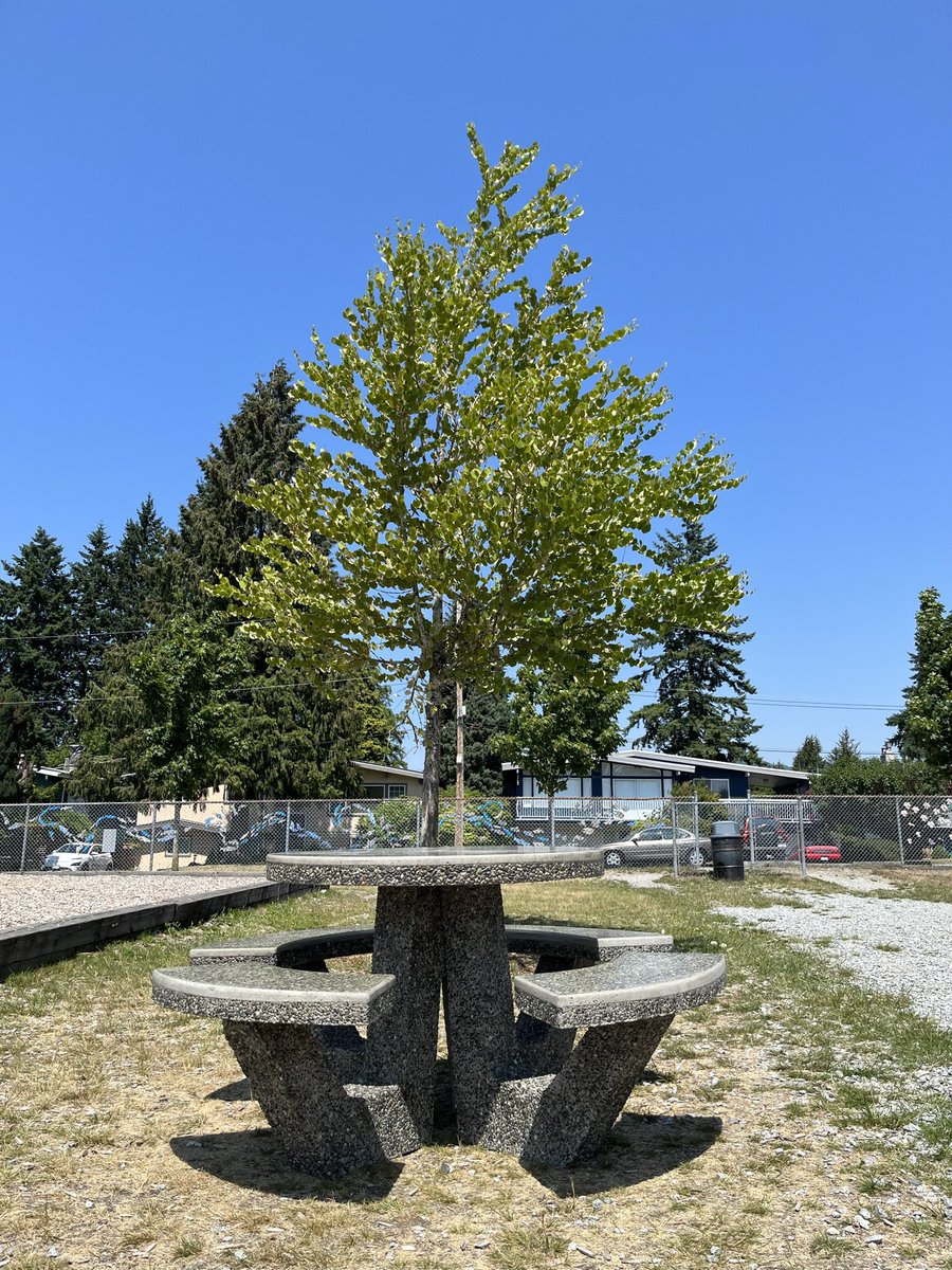 AshifJiwa's tweet photo. Our Gr. 5 students raised money this year to buy a Legacy Gift for the community to enjoy. It arrived today. Exciting.
#concretetable
@PorterStreetEl1
@sd43bc https://t.co/mhbZCoZqHr